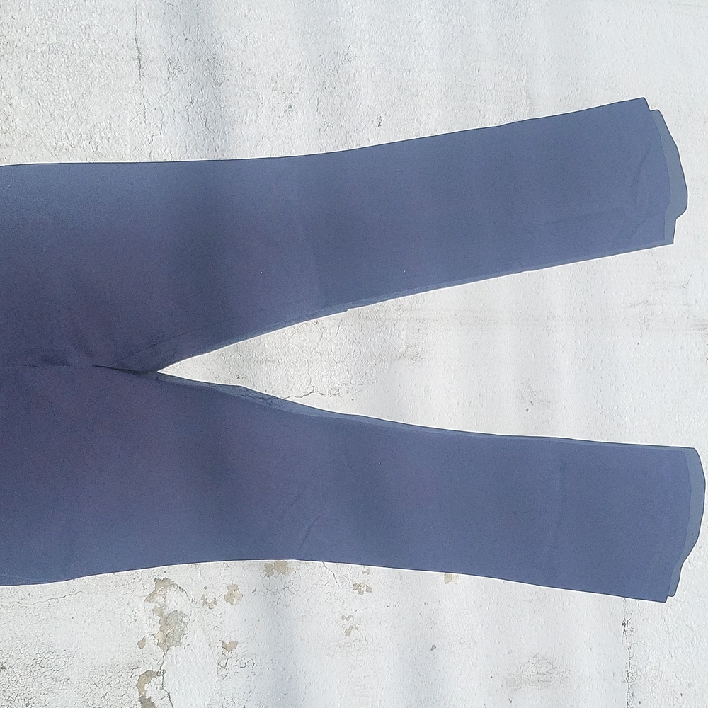 Navy express pants